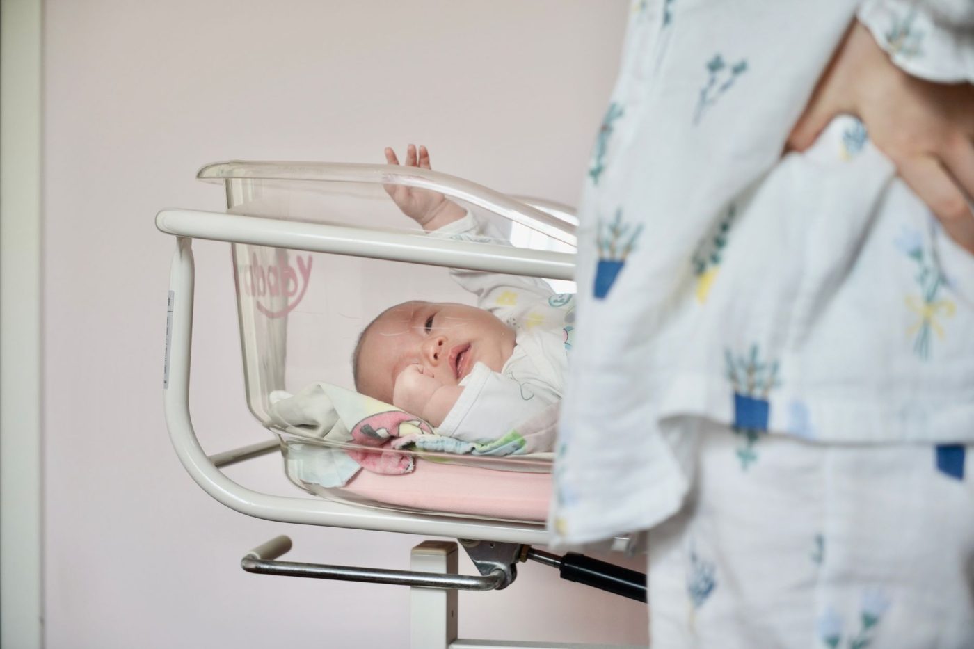 Best Newborn Bassinet in 2026: Tested Picks by Budget