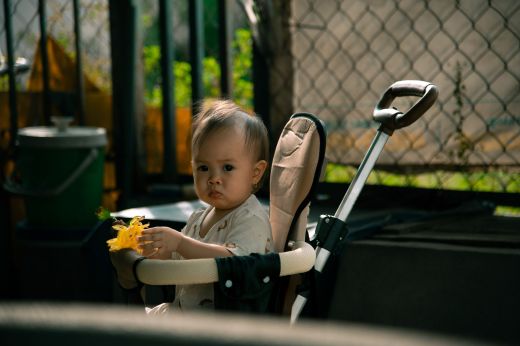 Doona Infant Car Seat Stroller Review (2026): Worth the Price?